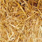 YA SOMOS MAS DE 20.000 PERSONAS !!!