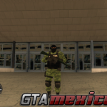 Soldados Mexicanos, SEDENA